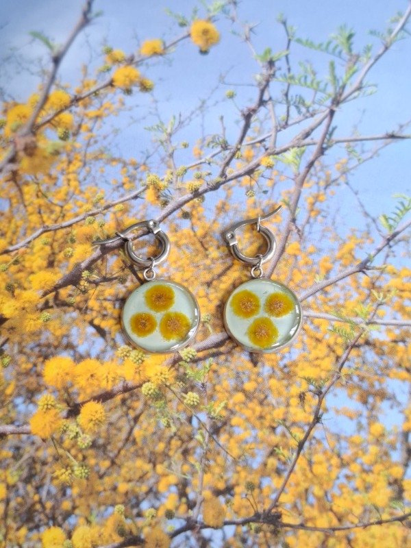 Producto - aros musgo