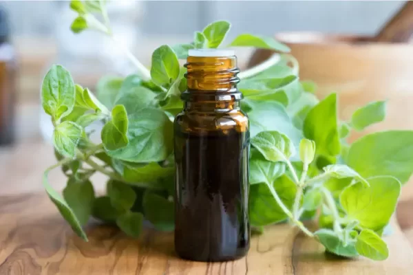 Producto - ACEITE ESENCIAL OREGANO 15 ML