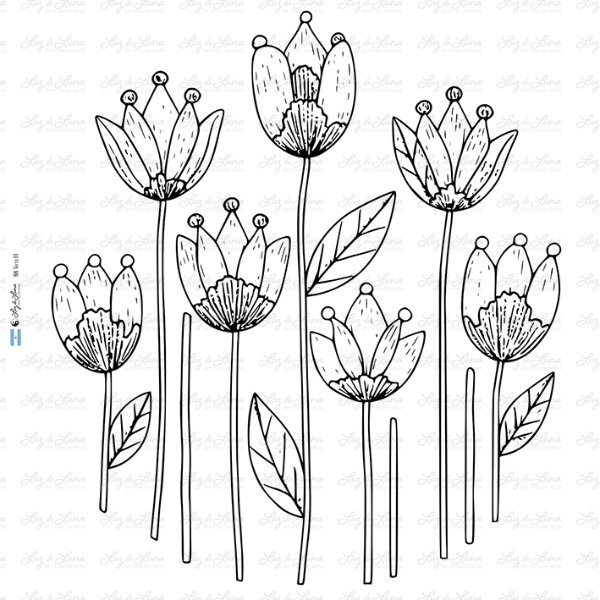 Producto - BM Terra 01