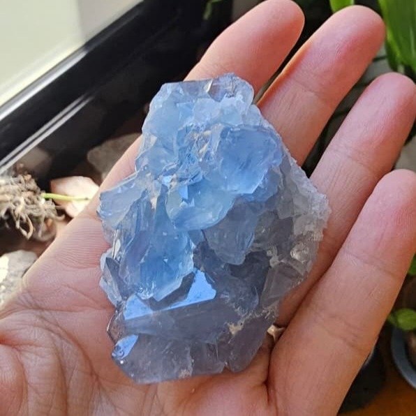 Producto - Pequeña Drusa de Selestina