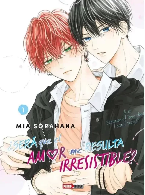 Producto - Será Que El Amor Me Resulta Irresistible 01