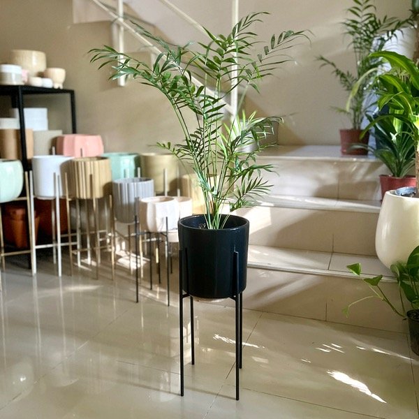 Producto - Maceta Cilíndrica 18cm Esmaltada Negra