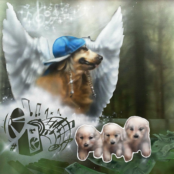 Producto - Rojuu "iNUiNUiNU" CD Custom