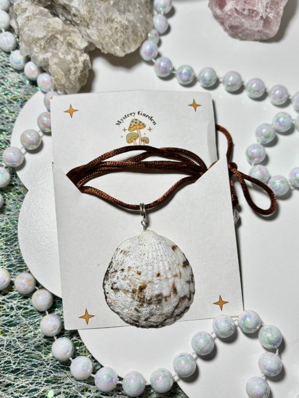 Producto - Choker cinta Caracolito 4