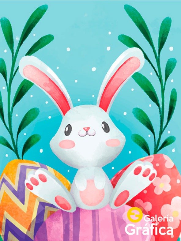 Producto - Pascuas FS 07