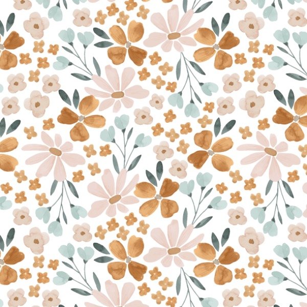 Producto - Anisa