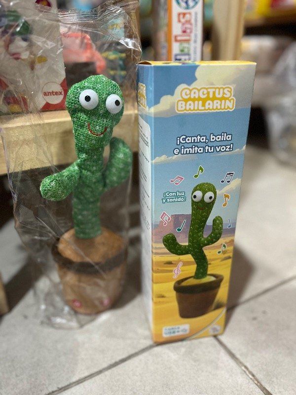 Producto - Cactus bailarin