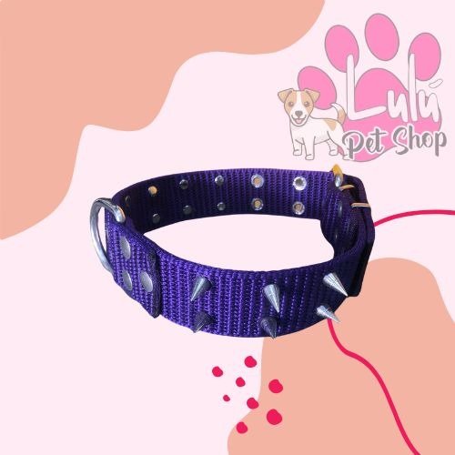 Producto - COLLAR 168 CON PUAS