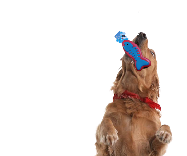 Producto - Juguete Para Perros Pescado Chillon 16 Cm Con Sonido - 4