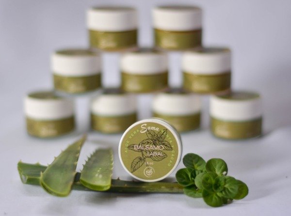 Producto - Balsamo labial Manteca de cacao, Aloe y Menta - 1