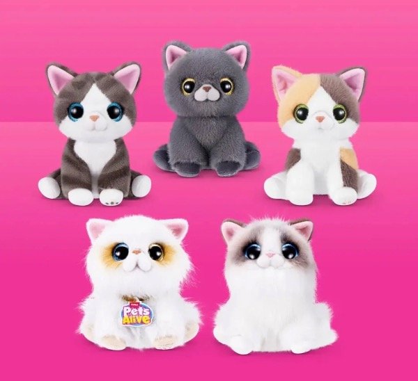 Producto - Huevo sorpresa gato - 1