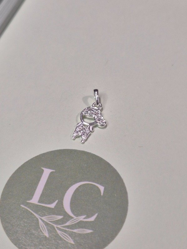 Producto - DIJE DE PLATA MICROPAVE NENE