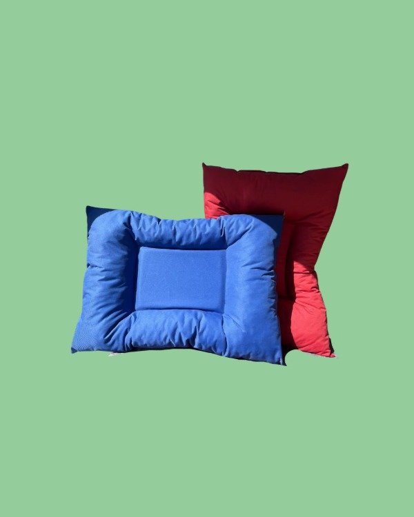 Producto - COLCHONETA T3 ANTIDESGARRO (60 X 80)