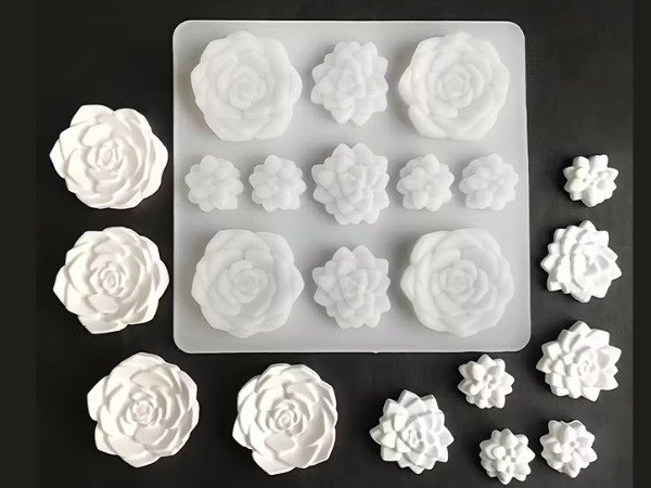 Producto - 11 Flores Suculentas - 1