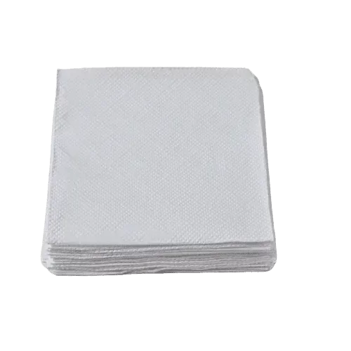 Producto - CAJA SERVILLETA 24X24 BLANCA