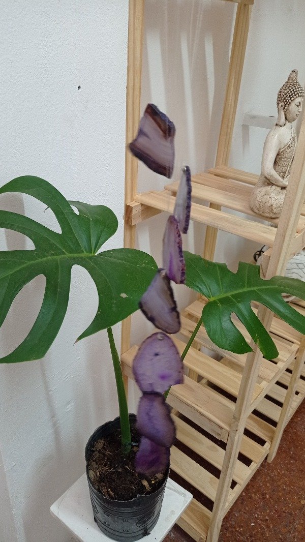 Producto - Llamador de angeles amatista