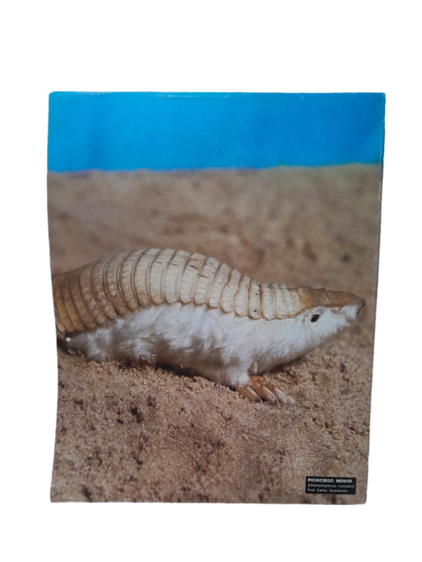 Miniatura de producto - 7