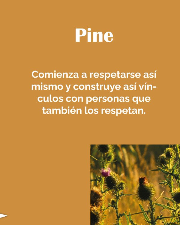 Miniatura de producto - 8