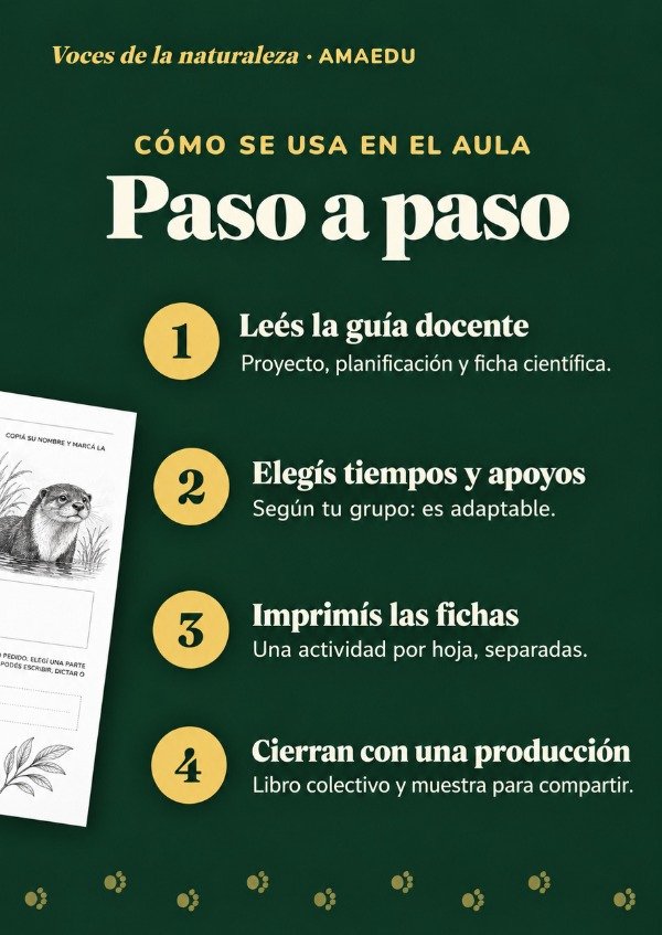 Producto - Colección VOCES DE LA NATURALEZA (Primero a Sexto Grado) - 4