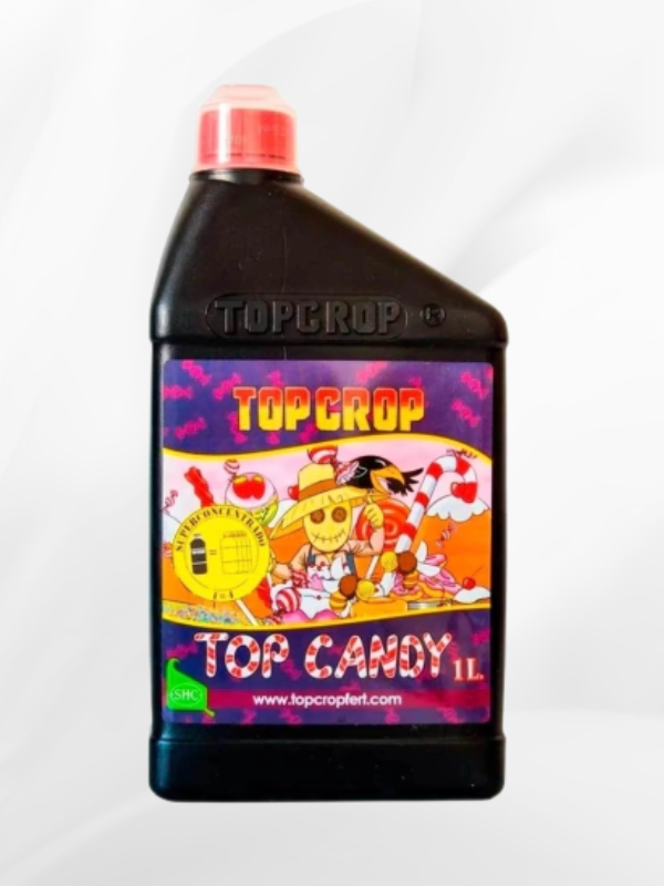 Producto - TOP CROP TOP CANDY 1LT