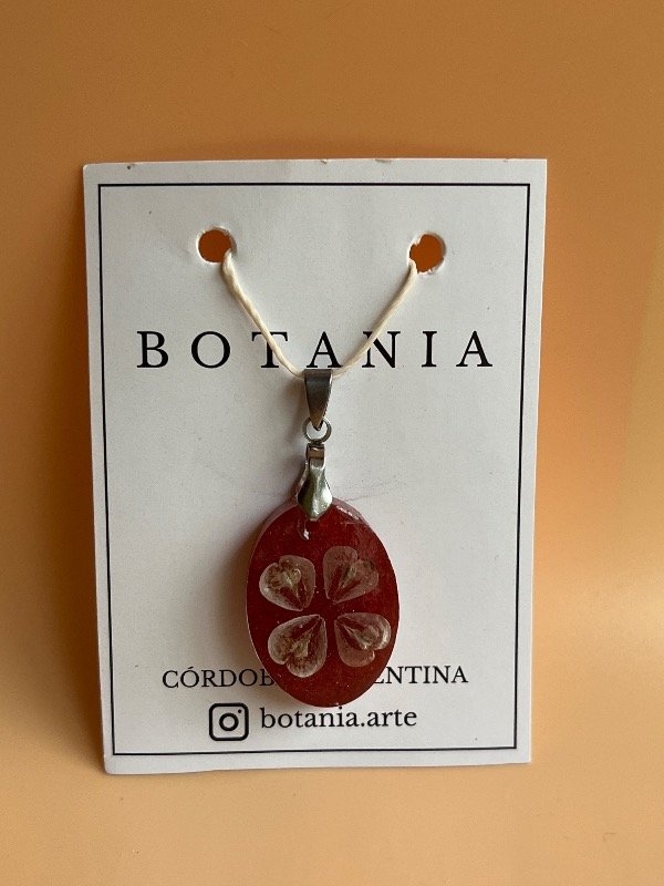 Producto - Semilla 2