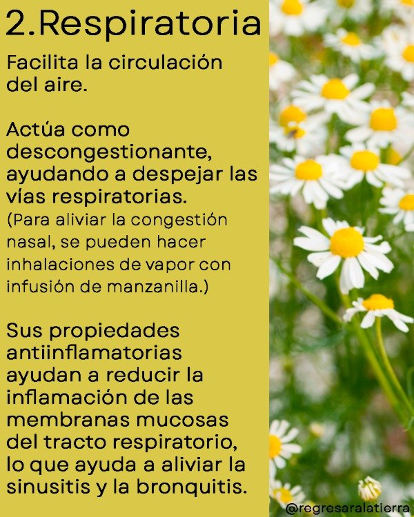 Miniatura de producto - 8