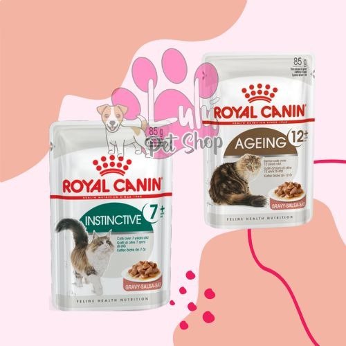 Producto - POUCH ROYAL CANIN CAT - 1