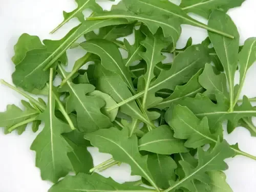 Producto - Semillas agroecologicas de rucula