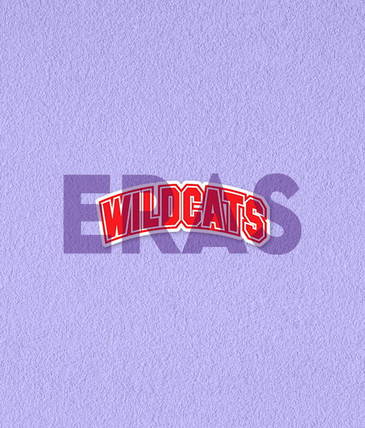 Producto - STICKERS UV - HSM - WILDCATS