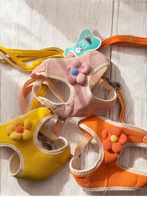 Producto - CORREA CON PECHERA FLOR REGULABLE HASTA 60cm