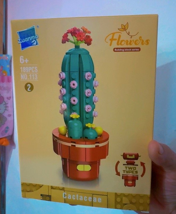 Producto - LEGOS DE CACTUS