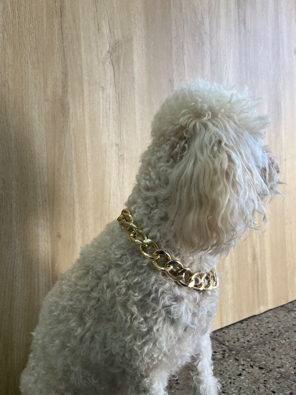 Producto - Collar de cadenas - 4