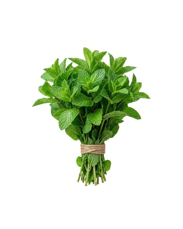 Producto - MENTA