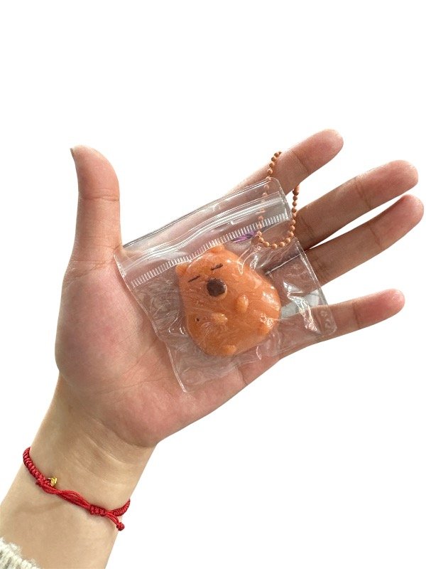 Producto - Squishy mini carpybara con estuche