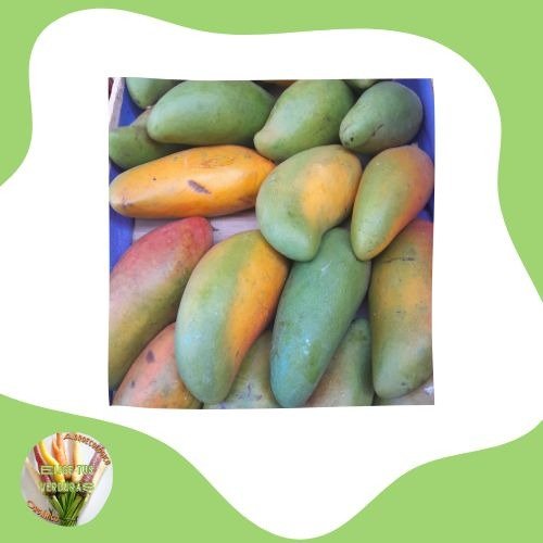 Producto - Mango - 1 unidad