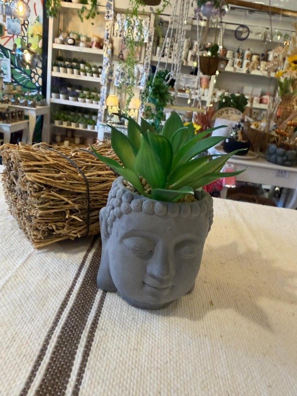 Producto - Buda de cemento con planta - (Efectivo: 10.000)