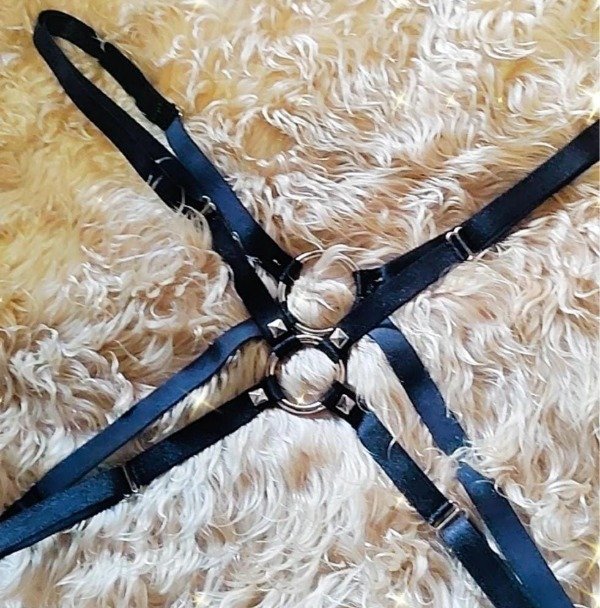 Producto - Arnés "X"