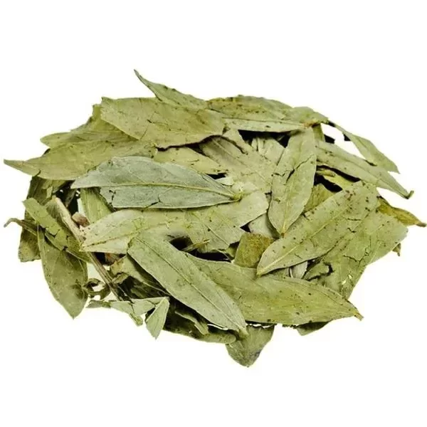 Producto - Sen