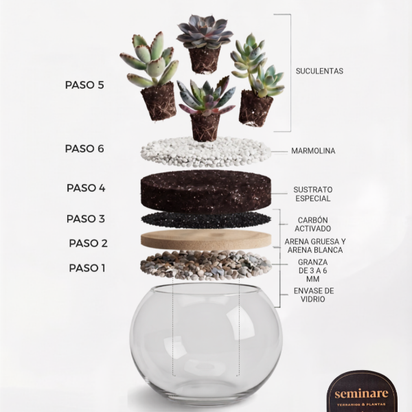 Producto - KIT PARA ARMAR TERRARIOS - 2