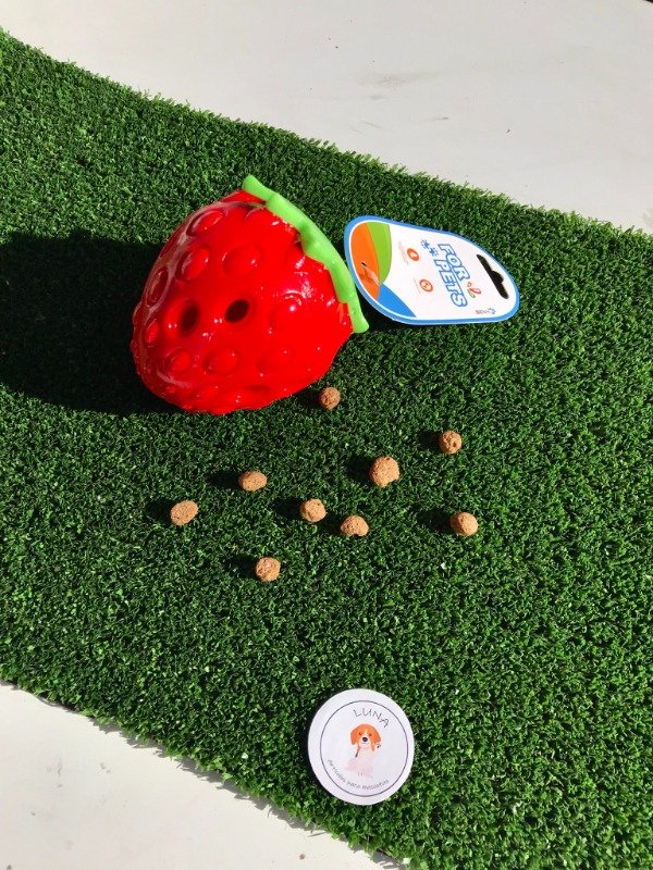 Producto - Frutilla dosificadora de alimento