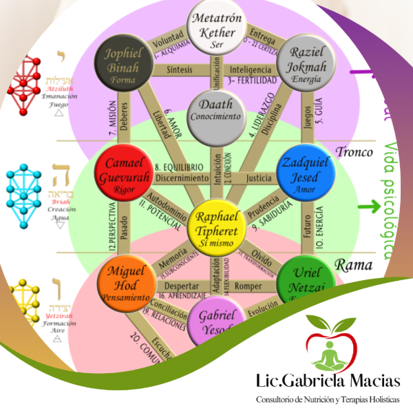 Producto - Lectura del Arbol-7 Encuentros