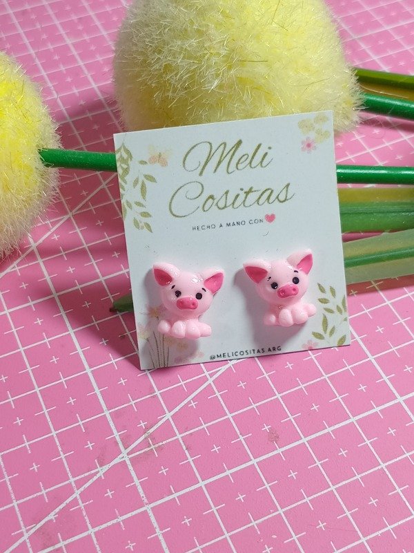 Producto - Aritos Cerdito