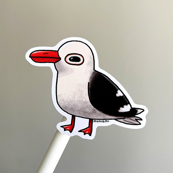 Producto - Sticker vinilo - Fauna marina argentina - Gaviota gris