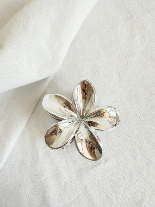 Producto - BROCHE DOMINICA II
