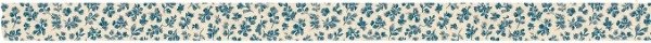 Producto - ESTAMPA Guarda azul