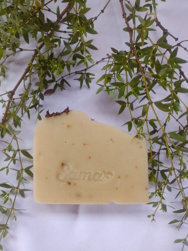 Producto - Jabon de Jarilla