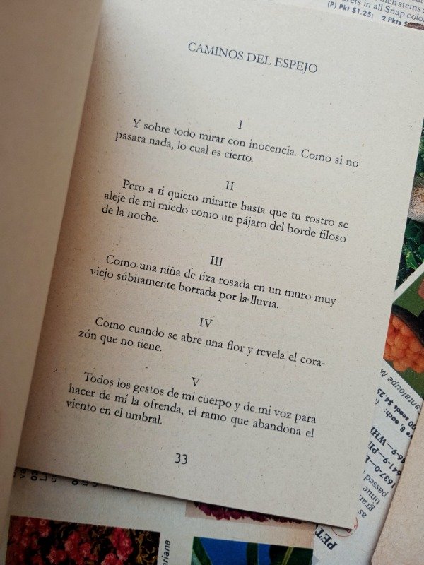 Producto - EXTRACCIÓN DE LA PIEDRA DE LA LOCURA de Alejandra Pizarnik - 1
