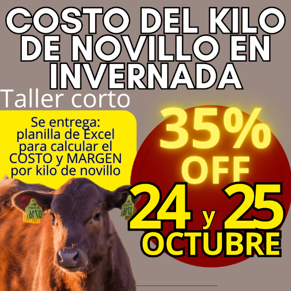 Producto - Taller corto: cálculo del costo del kilo de novillo - 0