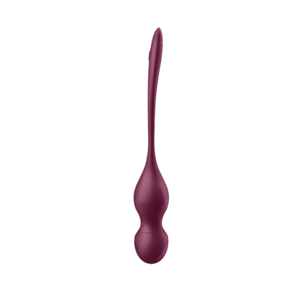 Producto - Satisfyer Love Birds Vary Connect App - 2