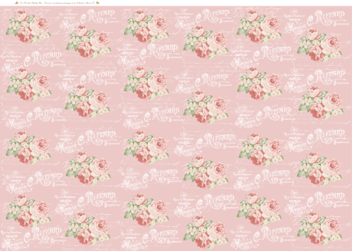 Producto - R17